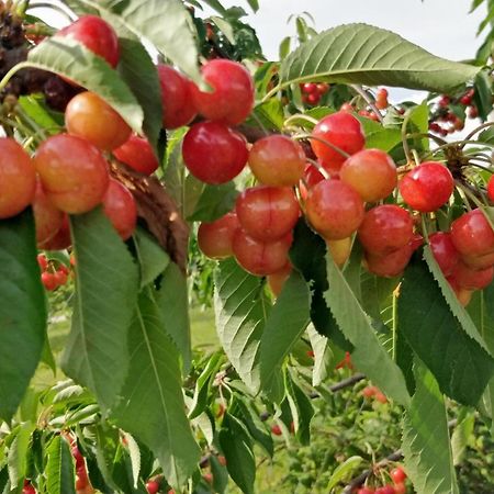 شقة Oereghaz Vendeghaz Lakhegy المظهر الخارجي الصورة